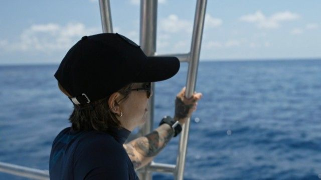 Pirates in the Caribbean