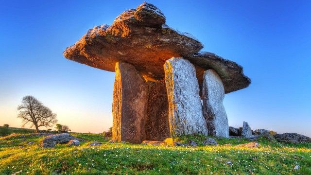 Wild Ireland: Kingdom of Stone