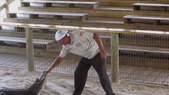 Homeowner vs. Handyman