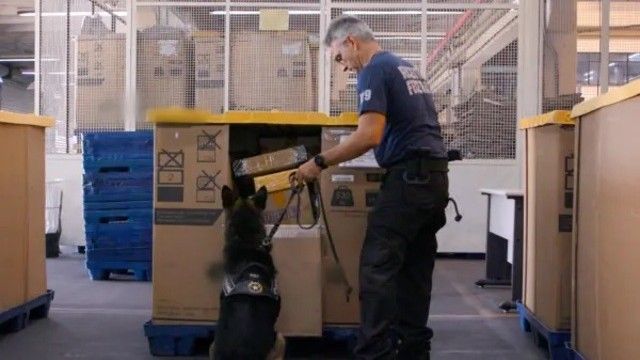 Airport Brazil: Restricted Areas - Season 6 - Episode 5