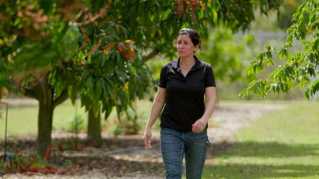 Florida Trees, Smart Lighting