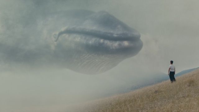 The Whale