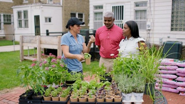 Urban Gardens, Apron Driveway