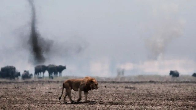 Katavi: Africa's Fallen Paradise, Purgatory