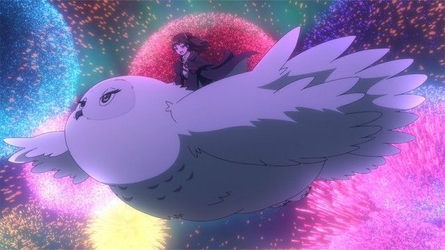 Flowers Bloom in the Festival Night Sky