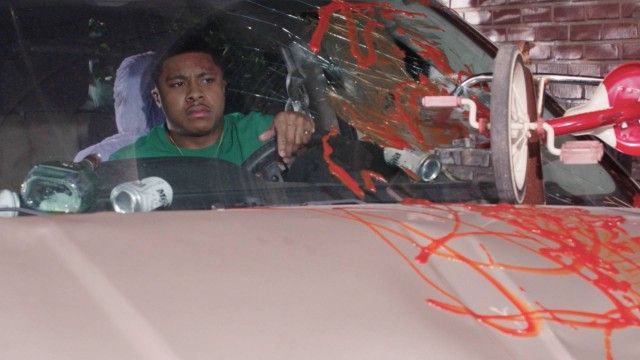 License & Registration