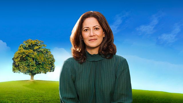 Mishal Husain
