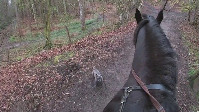 Get Your Junk Outta Here!