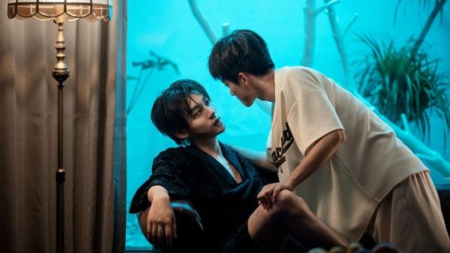 My Heart is All Shaken Up