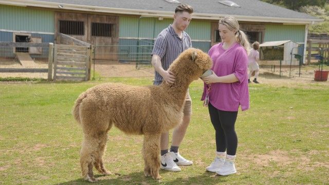 Obsessed with Everything