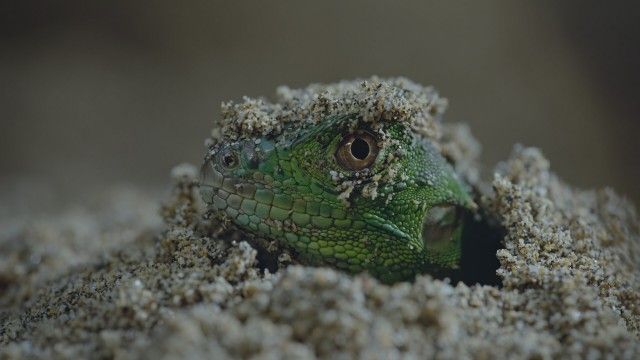 Chapter One: Welcome to the Jungle