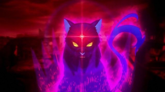 The Assassin Plays With A Cat