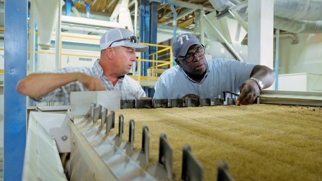 Grass Seed Facility, Porch Swing