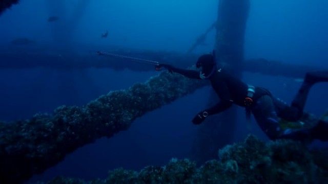 Louisiana Spearfishing and Bowfishing