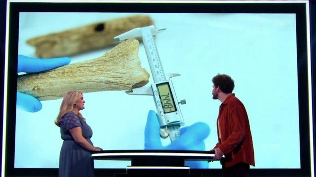 The Winner is Crowned