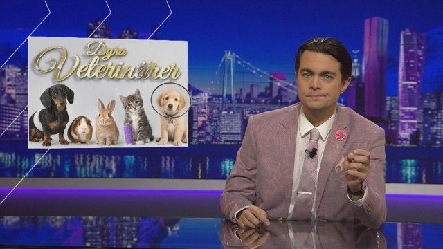 Swedish News - Season 17 - Episode 12