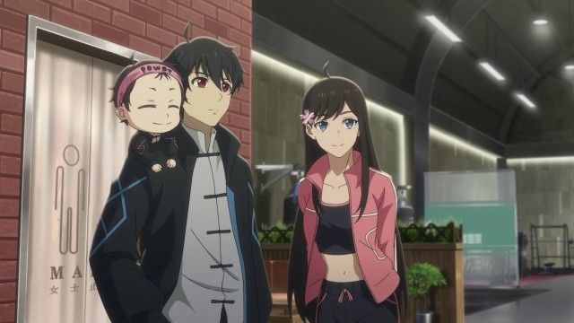 Muscle Remodeling with Protein Sect