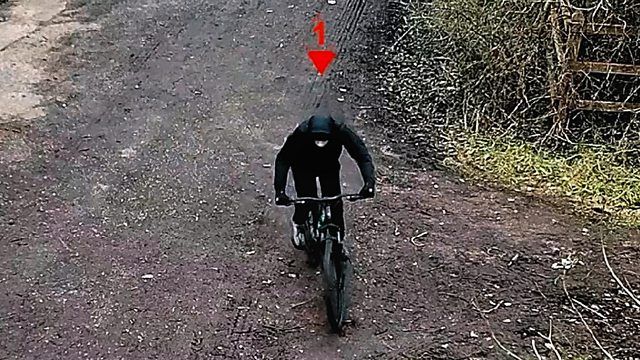 Murdered after School