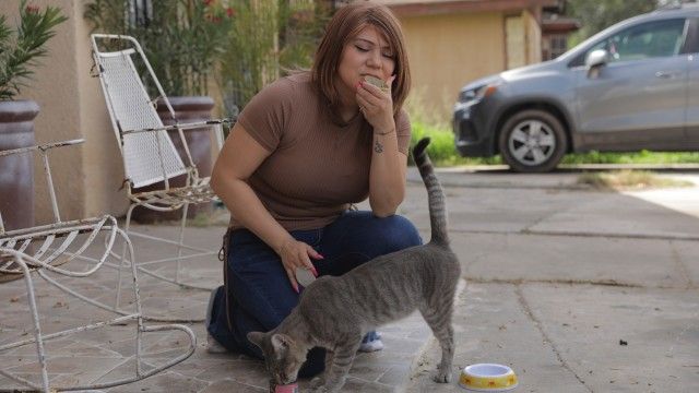 Snorting Cleaner, Eat Butter