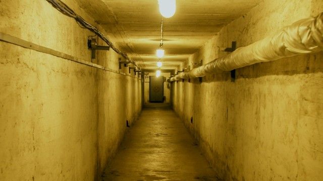 Japan's Poison Island