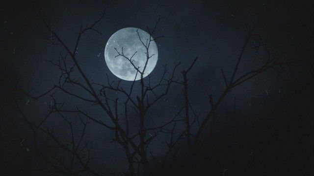When Darkness Falls