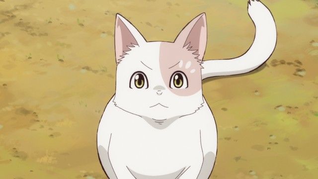 The White Cat and the Girl