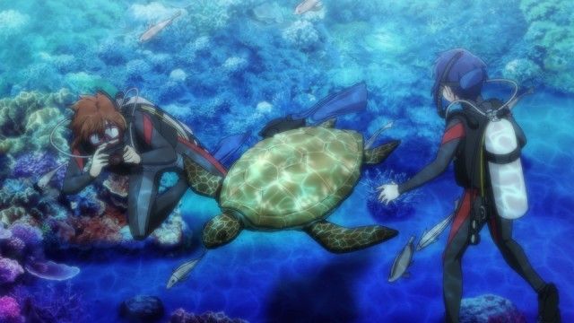 The Oceans of Palau