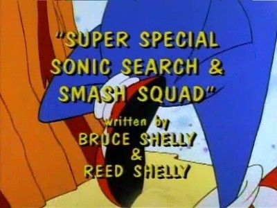 The Super Special Sonic Search And Smash Squad!