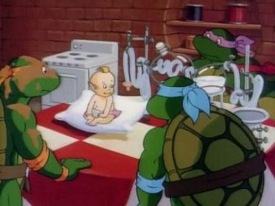 Four Turtles and a Baby