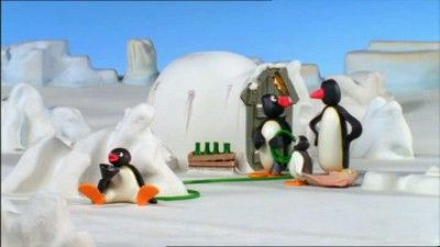Pingu and the Hose
