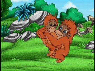 Diego's Orangutan Rescue