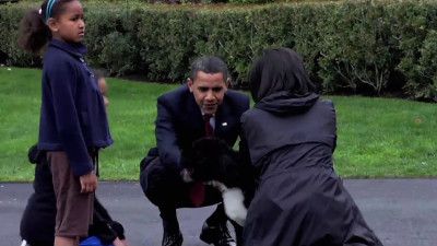 All the Presidents' Pets