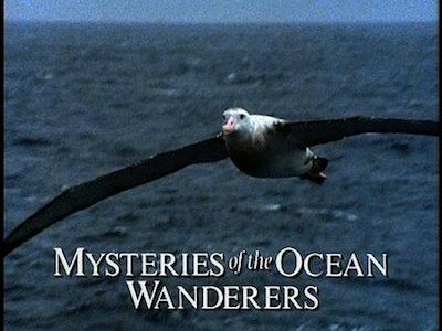 Mysteries of the Ocean Wanderers