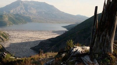 Mt. St. Helens Back From the Dead