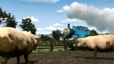 Thomas and the Pigs