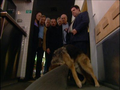 The Corpse-Sniffing Dog