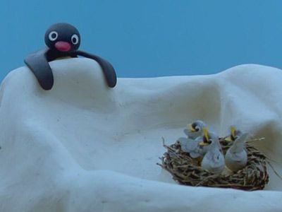 Pingu and the Birds' Mother