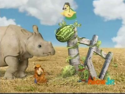 Save the Rhino!