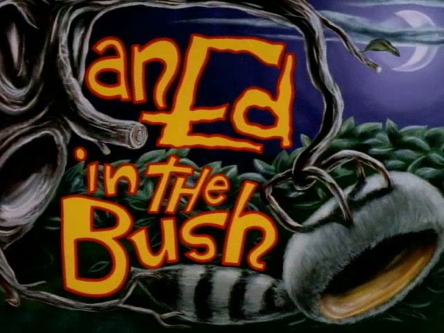 An Ed in the Bush