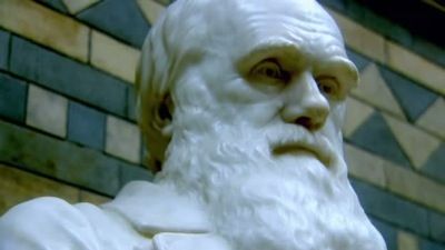 Charles Darwin, Hydrofoil and 3D