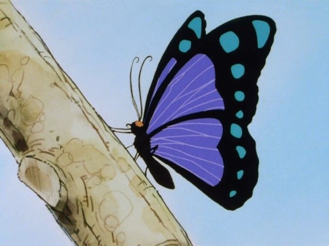 A Precious Creature of Nature: Save the Beautiful Butterfly!