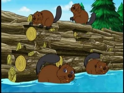 Diego Saves the Beavers
