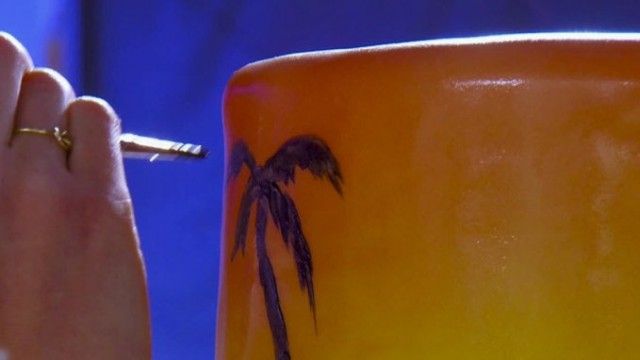 Miami Meltdown