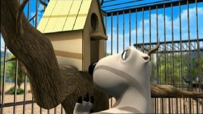 The Zoo 1