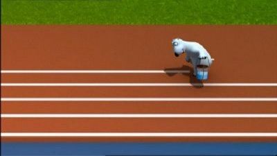 The Olympic Stadium