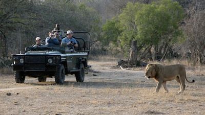 Caught on Safari: Battle at Kruger
