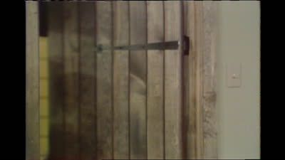 How People Harvest Peanuts