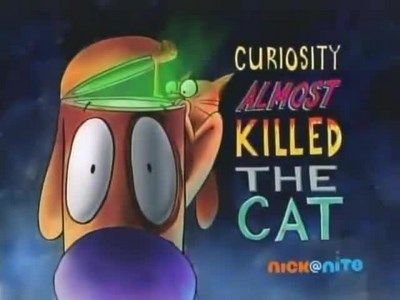Curiousity Almost Killed The Cat