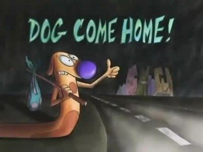 Dog Come Home!
