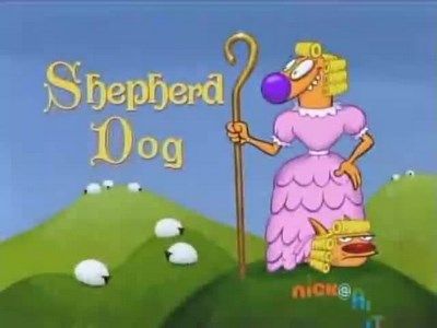 Shepherd Dog